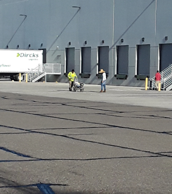 Hot-Pour vs. Cold-Pour Crack Sealing: What’s Best for Your Asphalt?